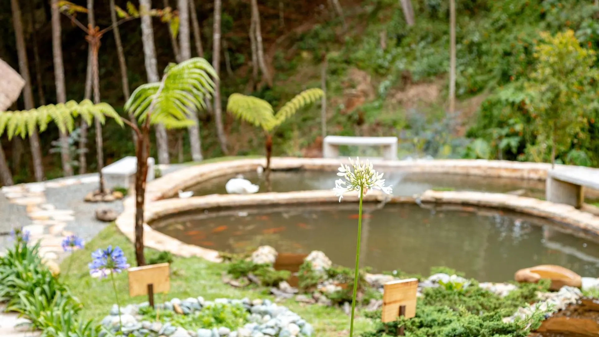Hotel Zen Medellin Satori Santa Elena  Pensión